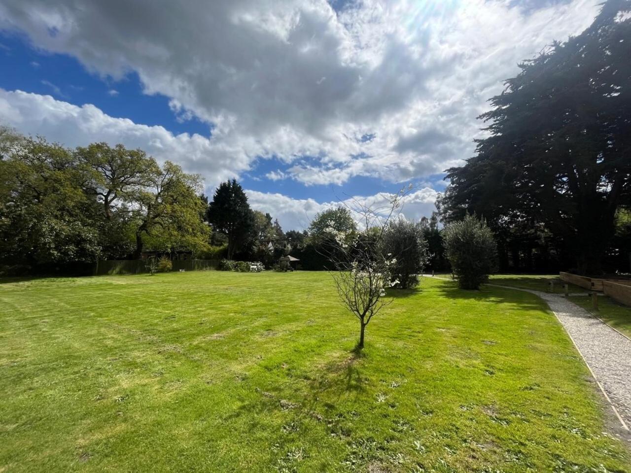 Little Paddock Lodge Ringwood